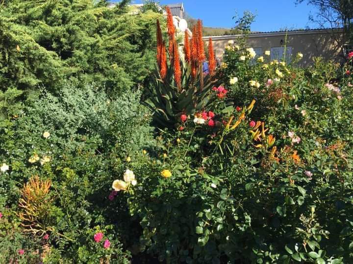 3 Bedroom Property for Sale in Bredasdorp Western Cape